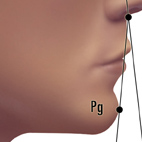 facial symmetry